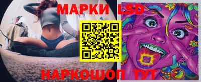 гидра Будённовск