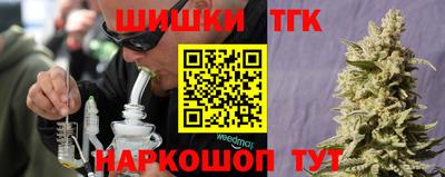 гидра Будённовск