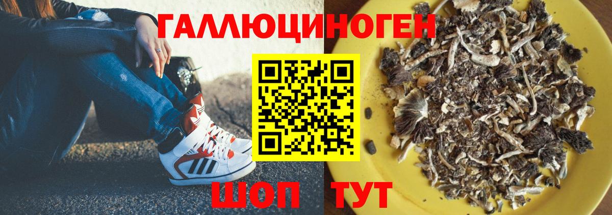 Галлюциногенные грибы Cubensis Севастополь